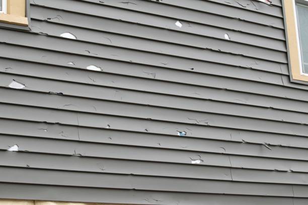 Best Composite Siding  in New Albany, IN